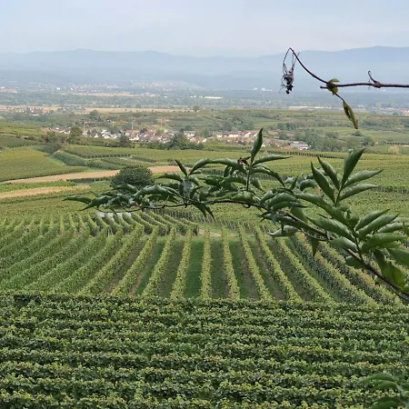 Im Rebstock Nr.1 公寓 Bahlingen (Emmendingen)