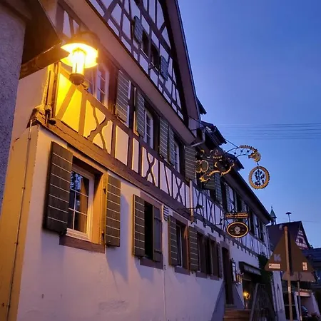 Im Rebstock Nr.1 公寓 *