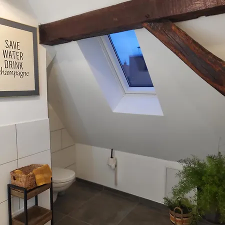 公寓 Im Rebstock Nr.1