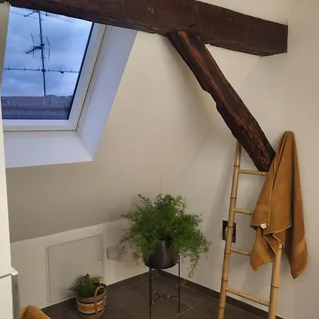 Im Rebstock Nr.1 Apartmán Bahlingen (Emmendingen)