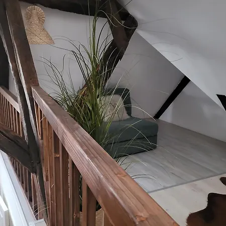 Im Rebstock Nr.1 * Bahlingen (Emmendingen)